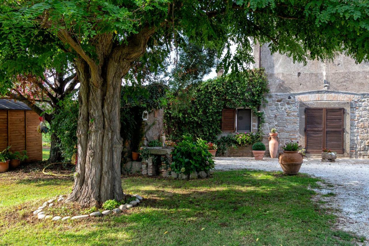 Il Castelletto Del Salamaro Viterbo Exteriér fotografie
